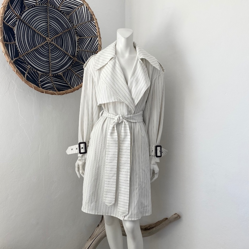 NWT, BCBGMaxAzria Pinstripe Trench